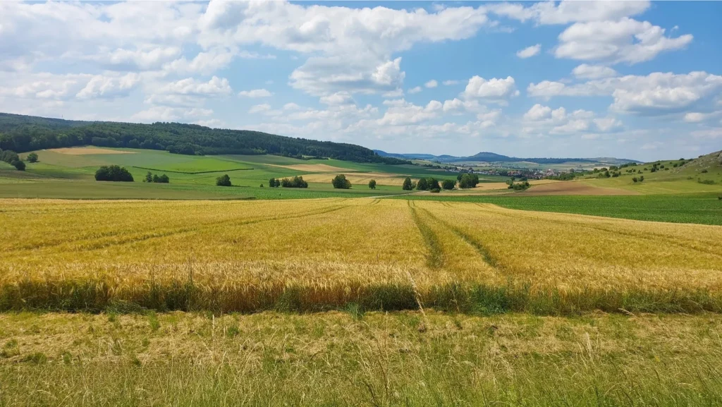 Eva Barwig – Die Frau, die den