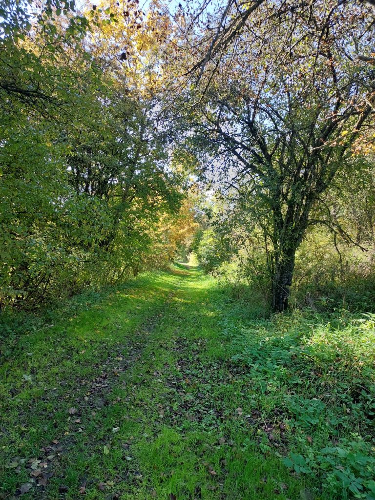 wenn-etwas-nicht-zu-dir-gehort